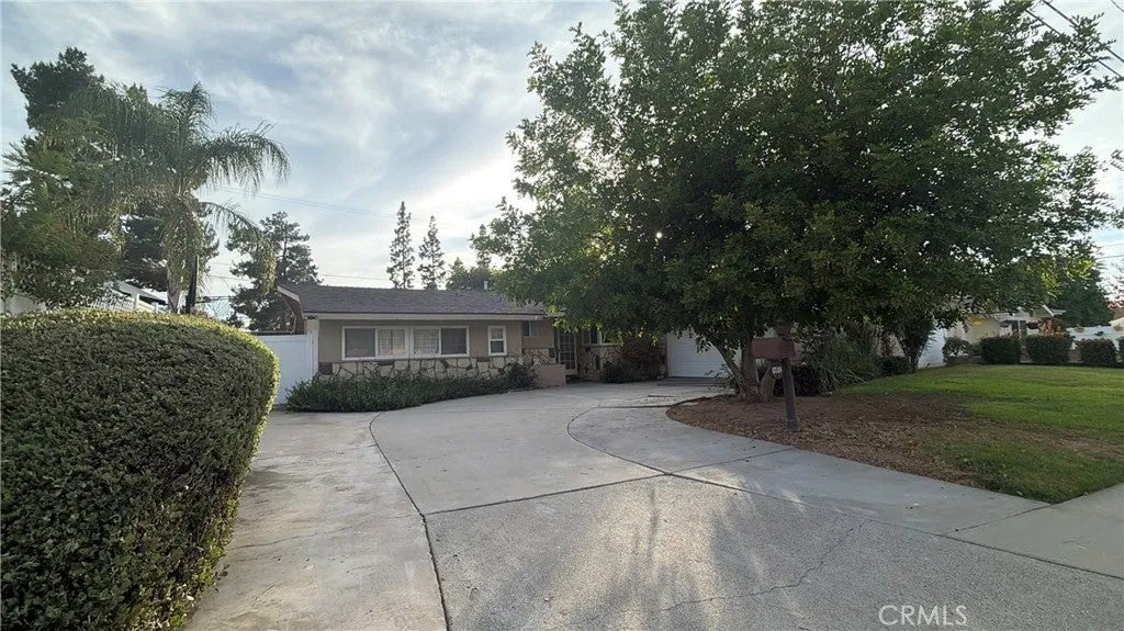 3748 Skylark — photo