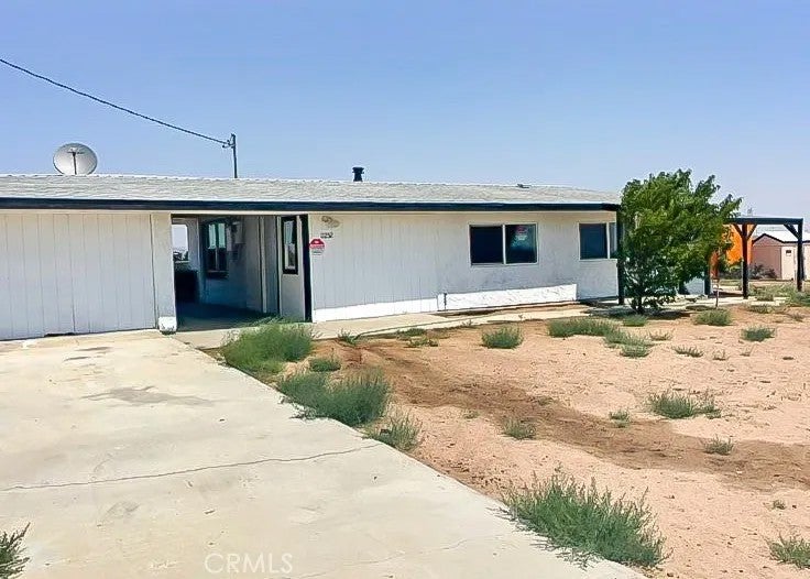 11252 Cactus — photo