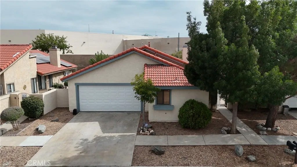 16241 Tokay — photo