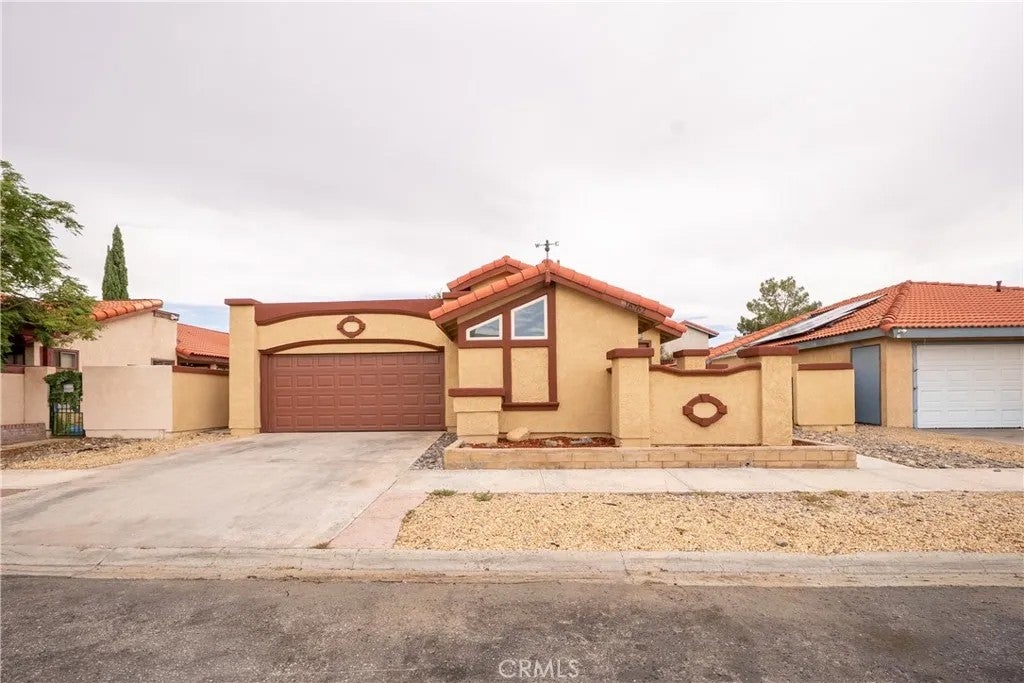 16262 Tokay — photo