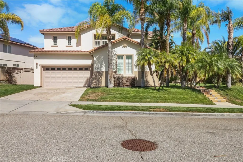 31922 Manzanita — photo