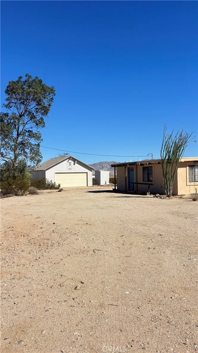 241 Alfalfa — photo