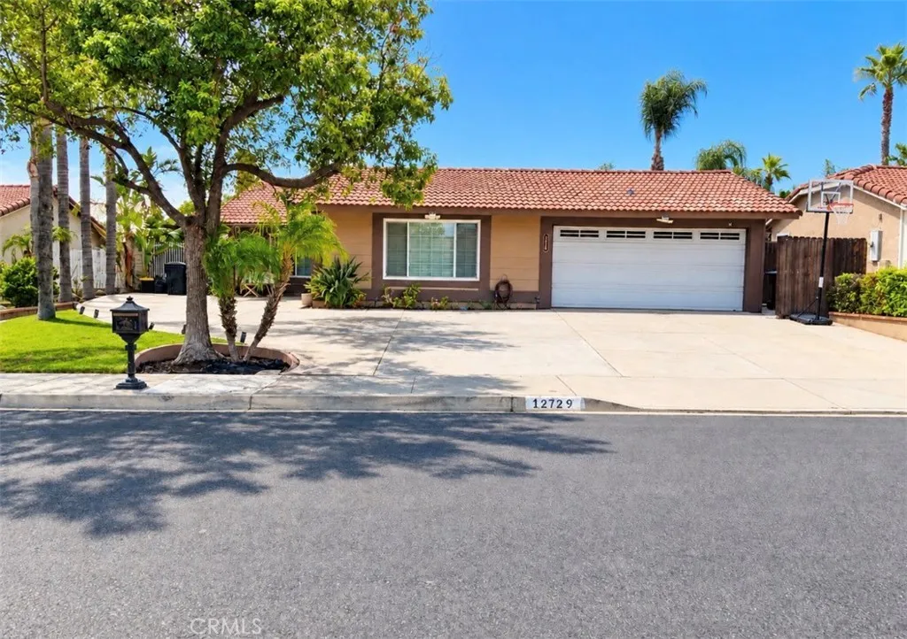 12729 Argo — photo