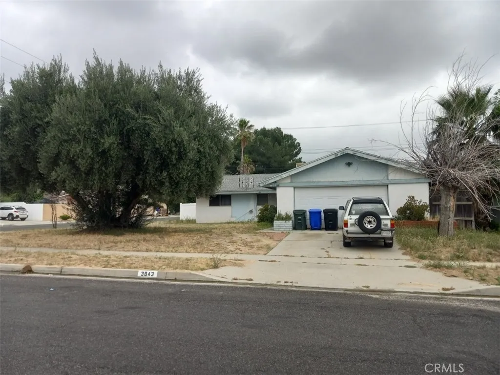 3843 Conejo — photo