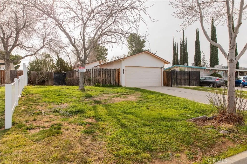 38990 Juniper Tree — photo
