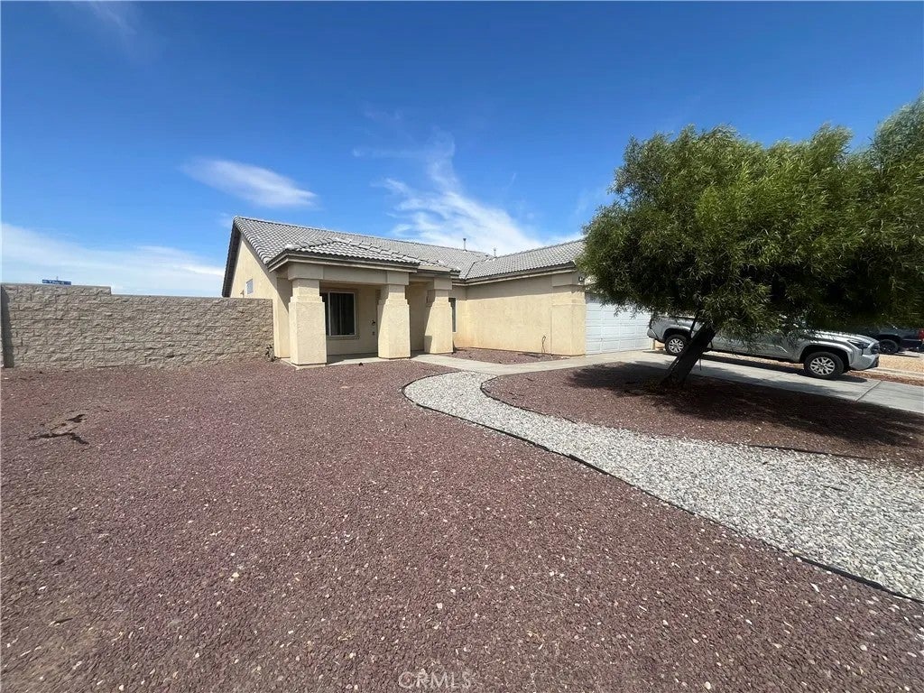 12564 Dion — photo
