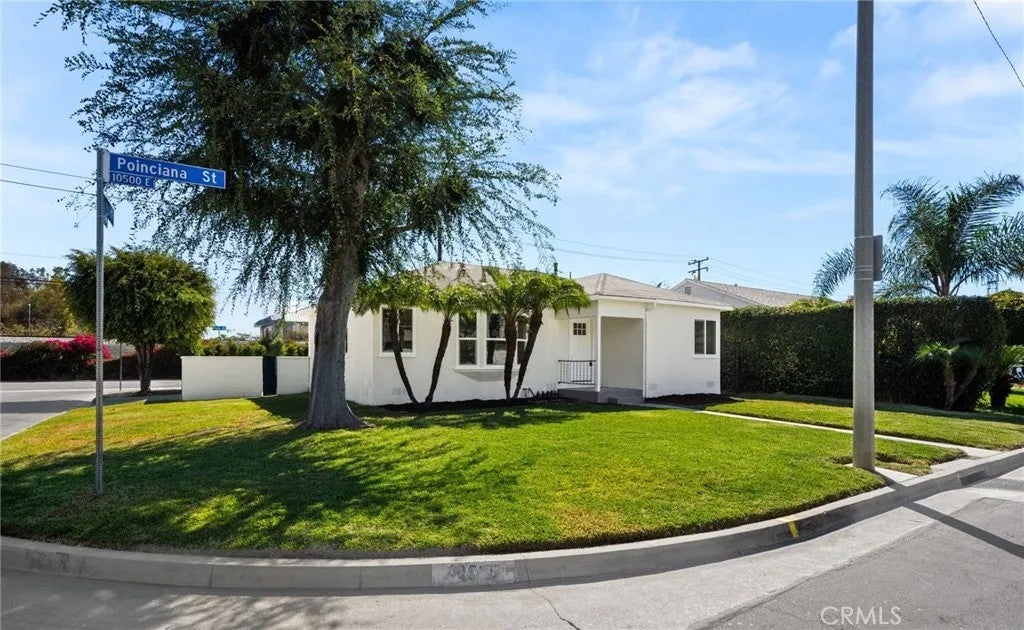 10538 Poinciana — photo