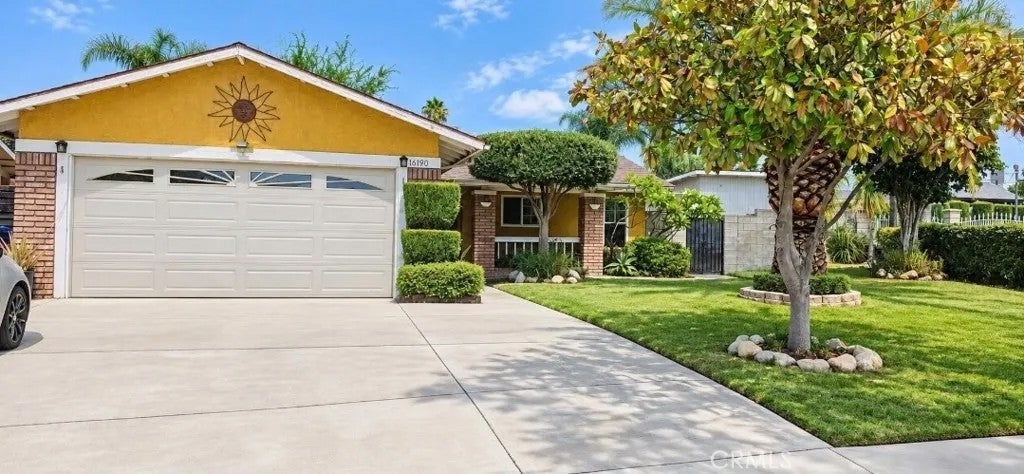 16190 Owen — photo