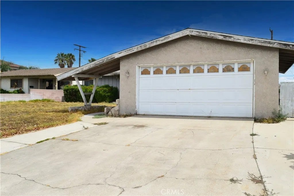 8175 Pepper — photo