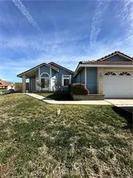 37510 Conifer — photo