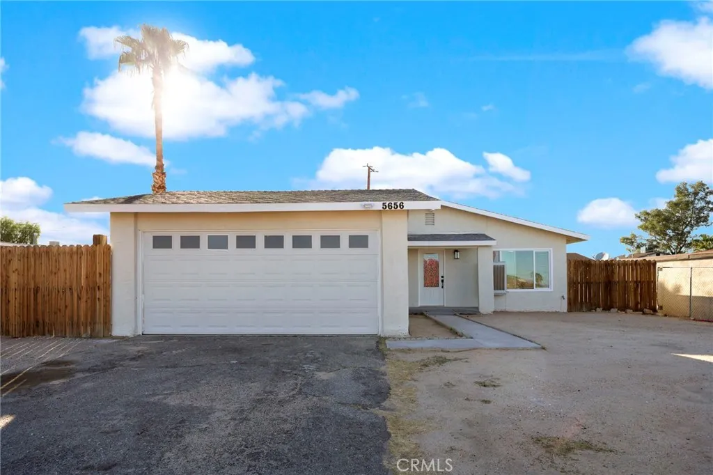 5656 Daisy — photo