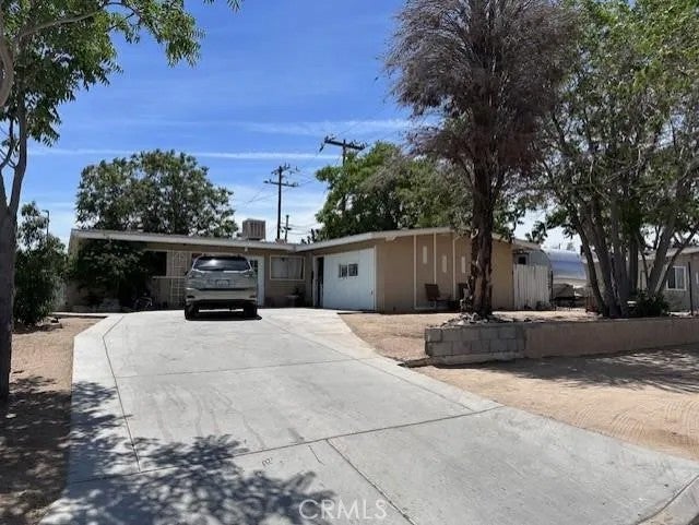 57005 Antelope — photo