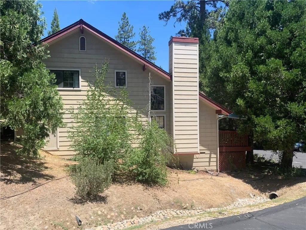 40513 Saddleback — photo