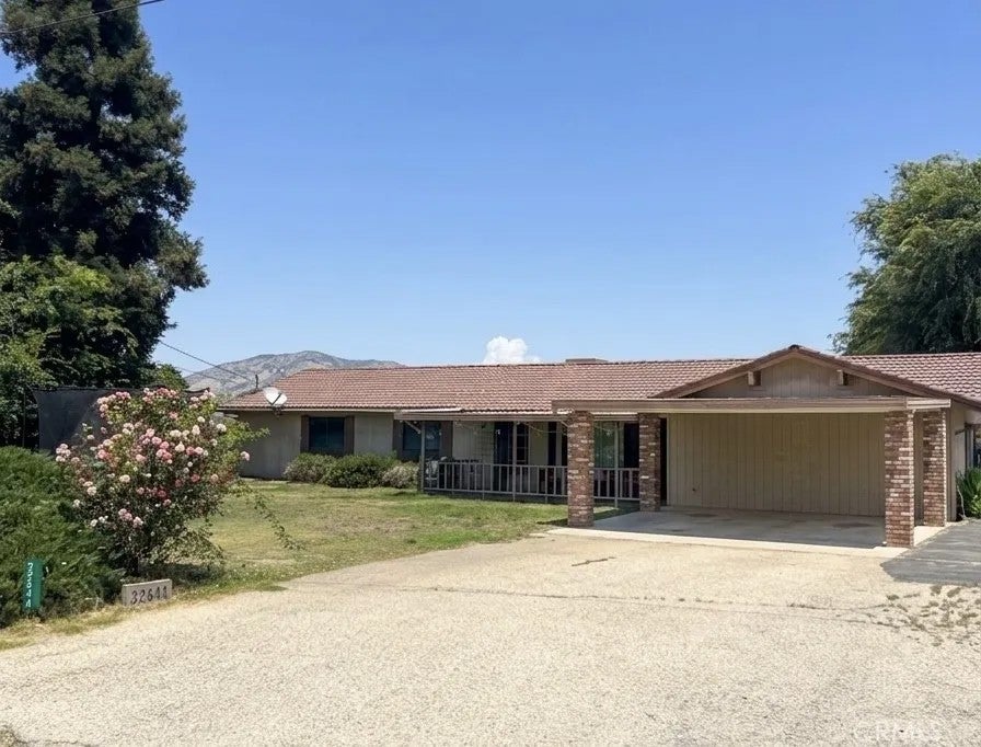 32644 Quail — photo
