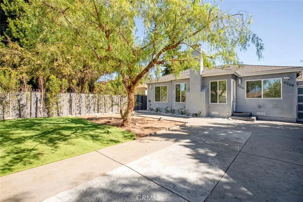 6206 Camellia — photo