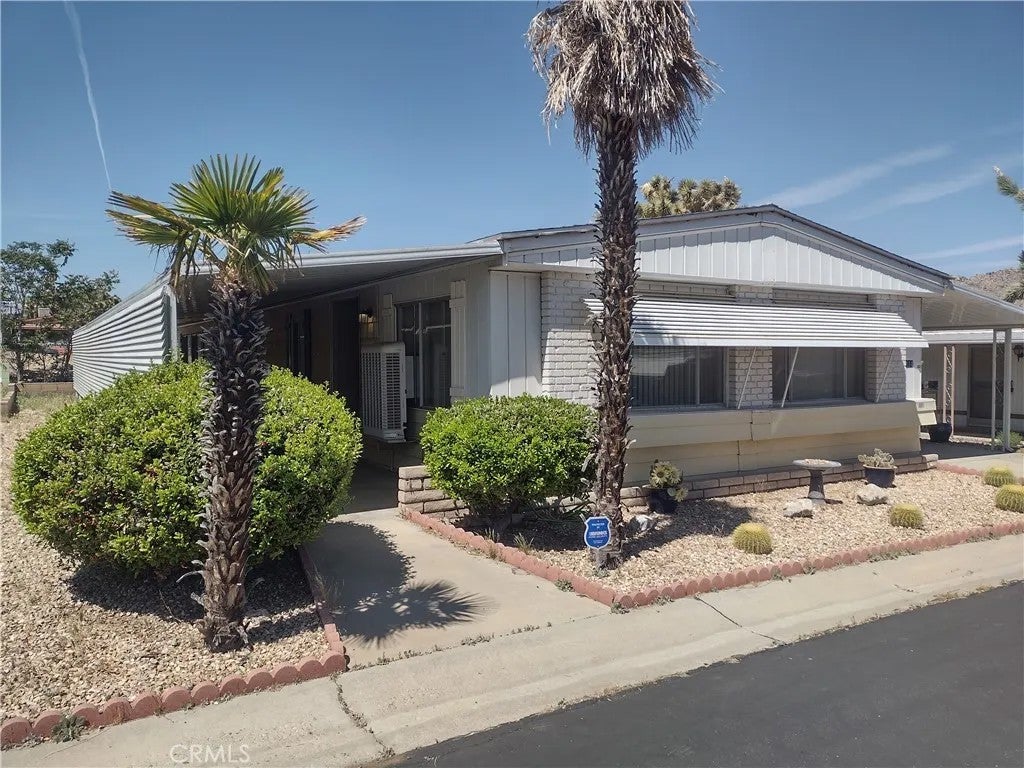 7501 Palm 114 — photo