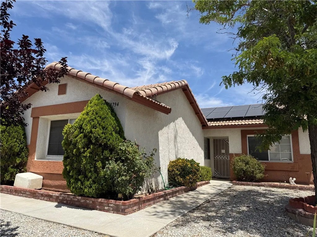 13794 Valera — photo