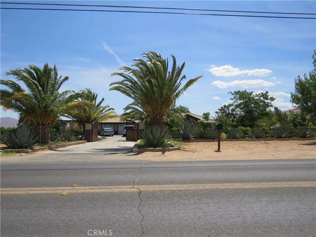 10247 Kiowa — photo