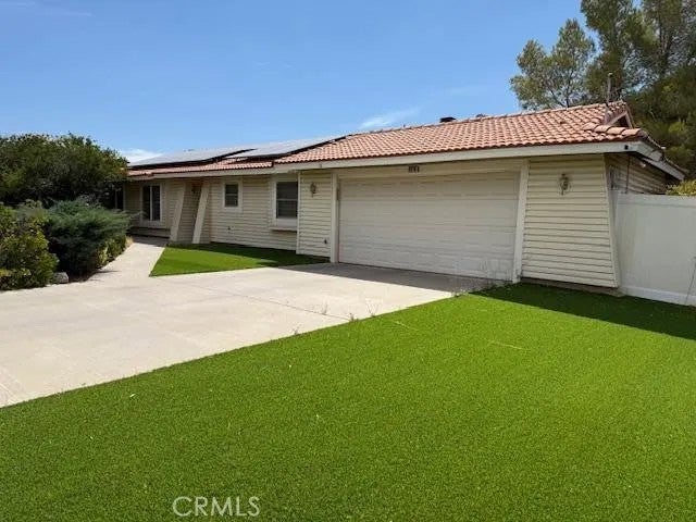 9018 Guava — photo