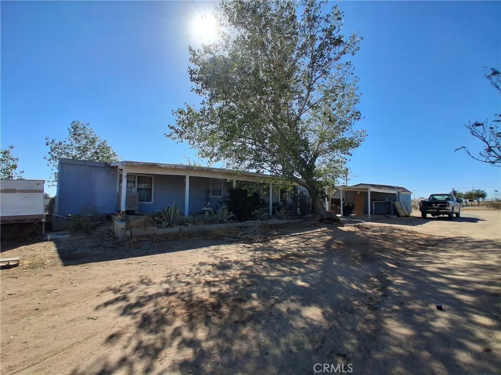 12037 Cordero — photo