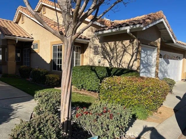 5451 Trevino — photo