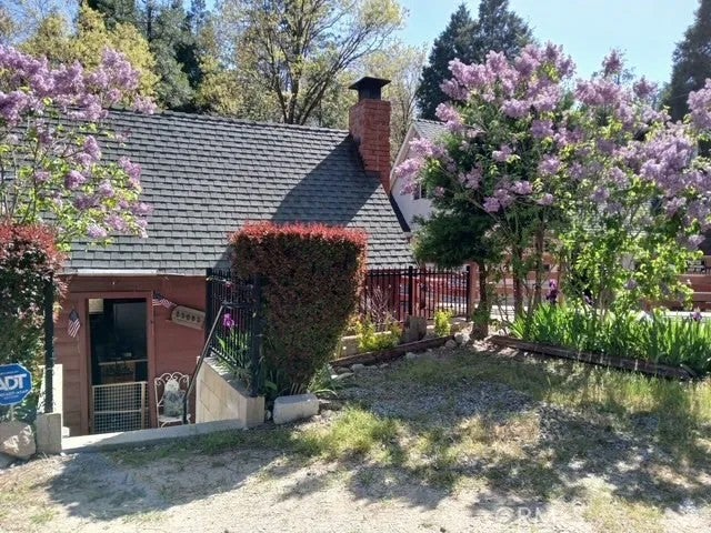 23683 Manzanita — photo