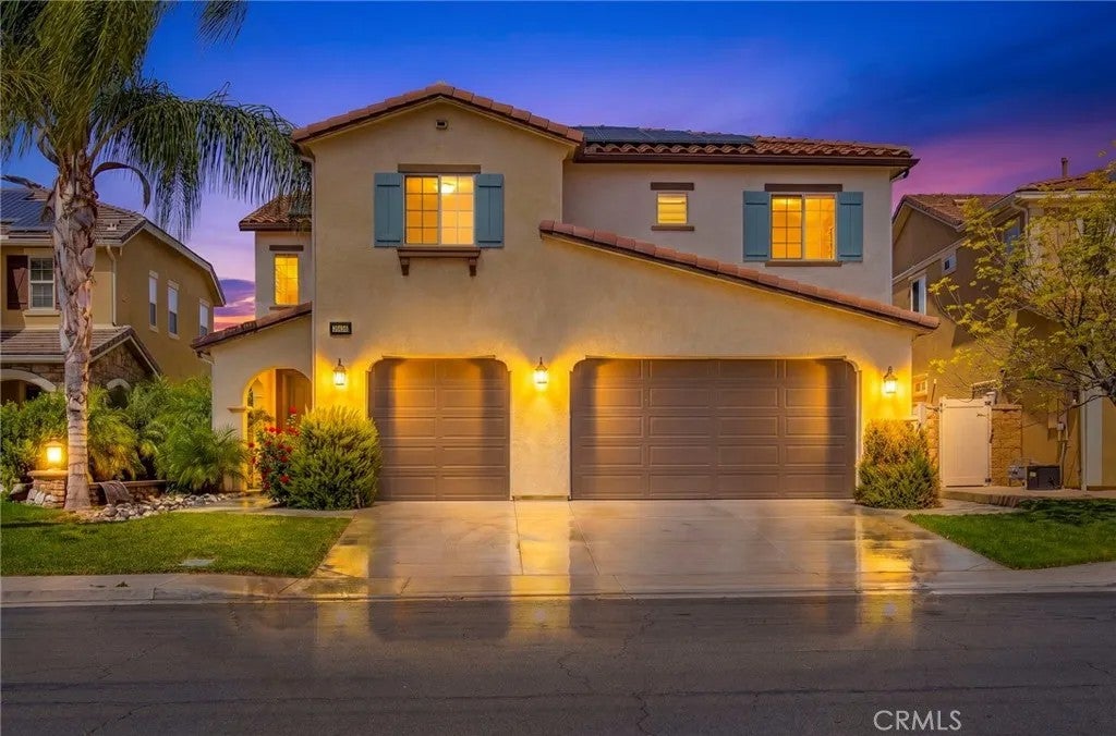 36456 Shedera — photo