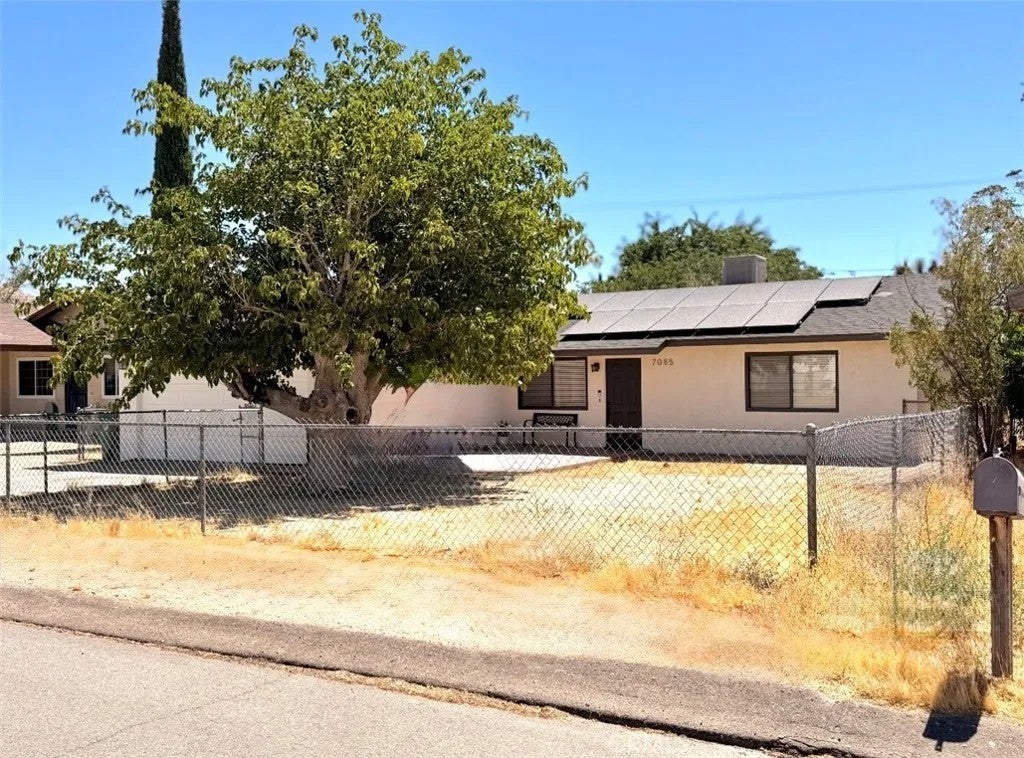 7085 Tamarisk — photo