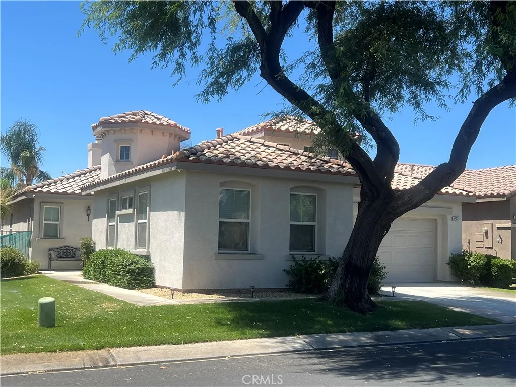 82779 Matthau — photo
