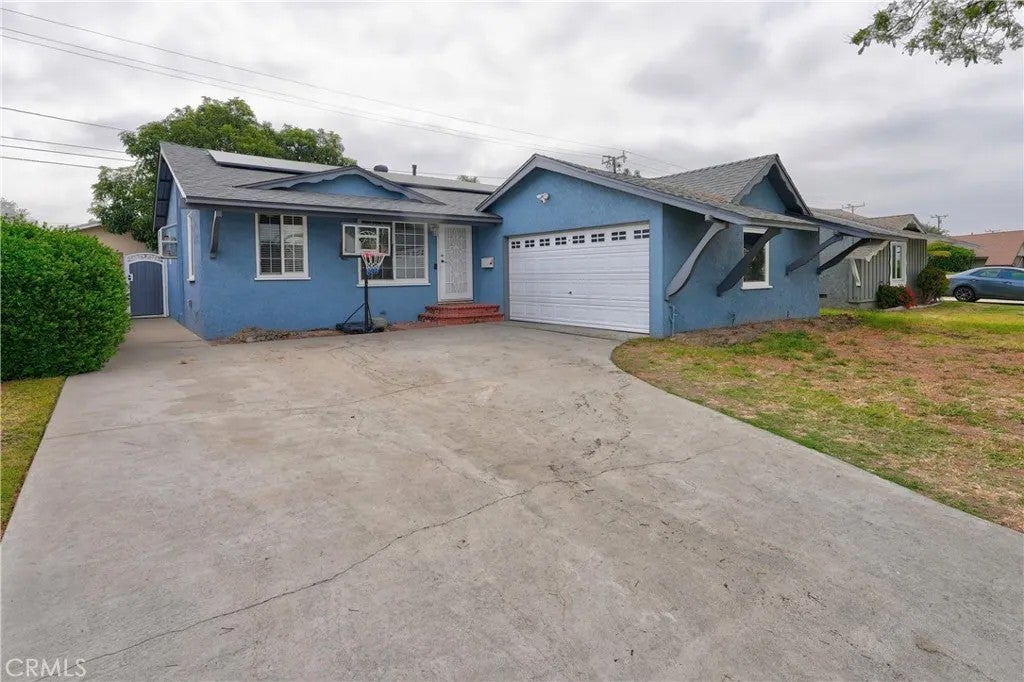 20734 Hawaiian — photo