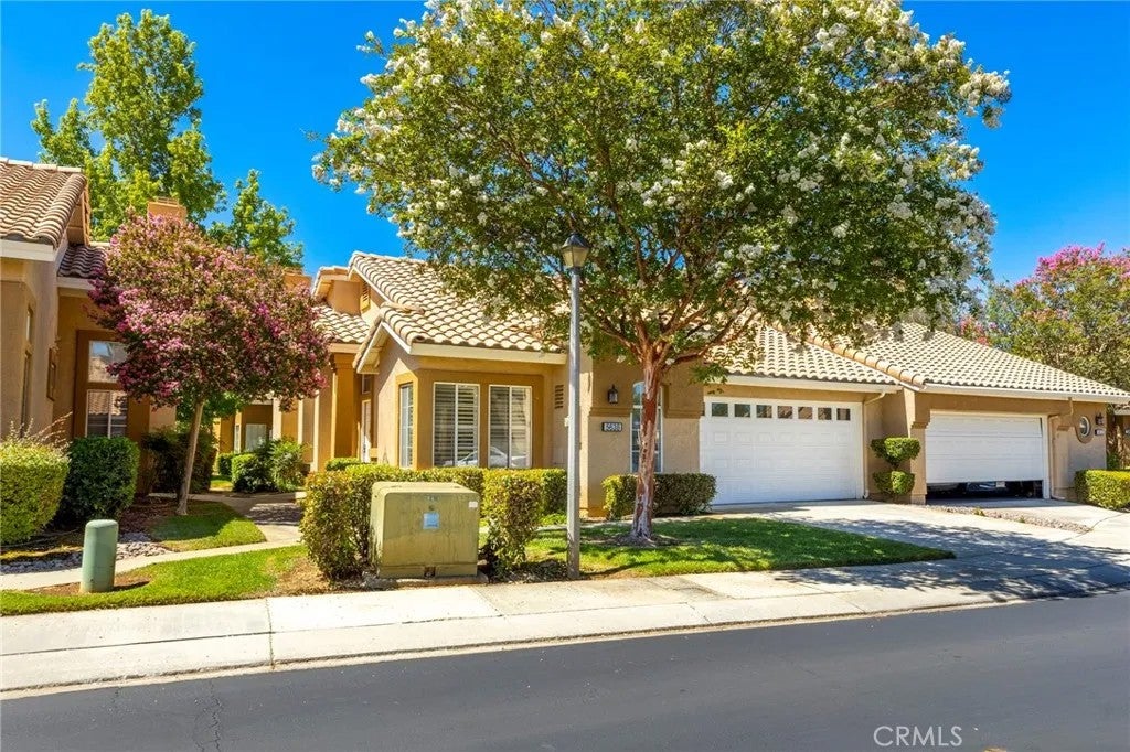 5638 Lopez — photo