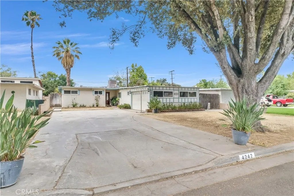 4242 Eileen — photo