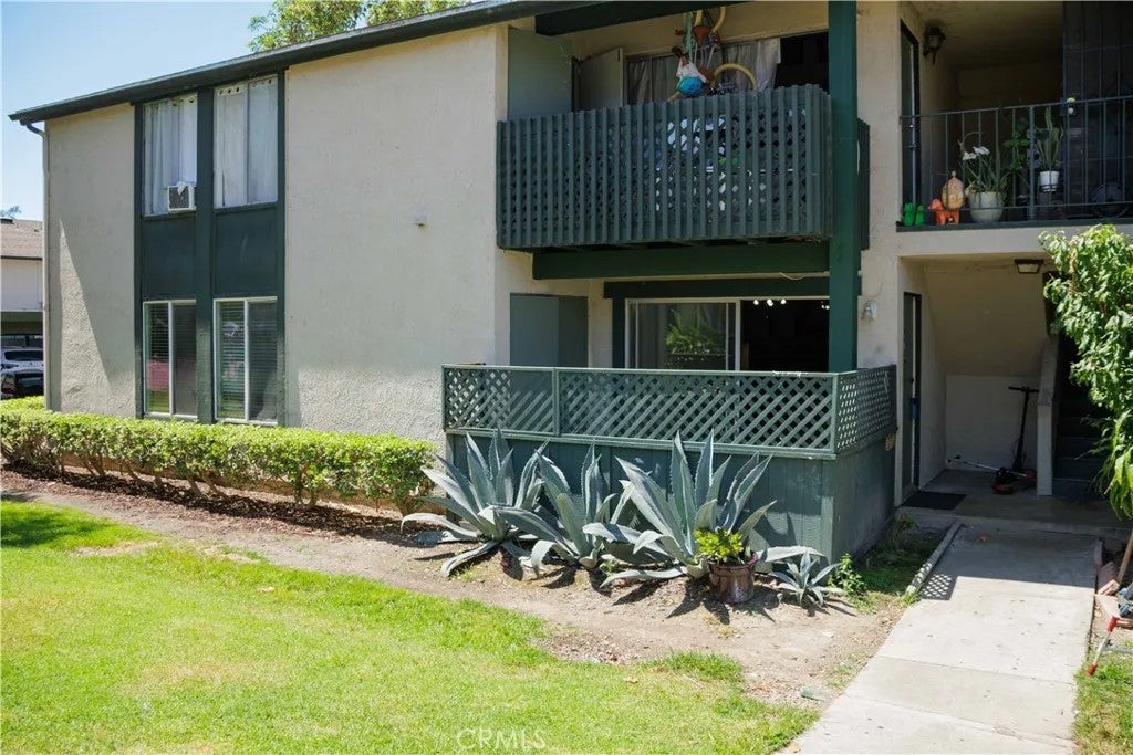 23266 Orange 1 — photo