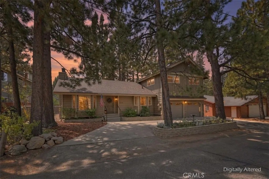 41725 Mockingbird — photo