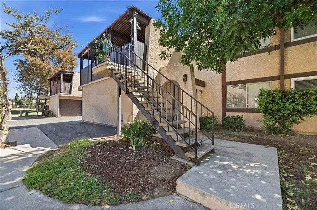 12241 Carnation D — photo