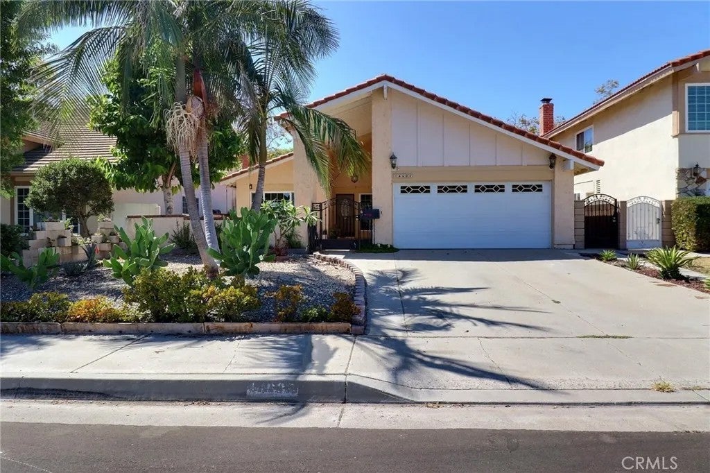 14605 Seron — photo