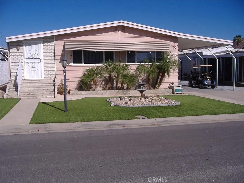 26060 Queen Palm — photo