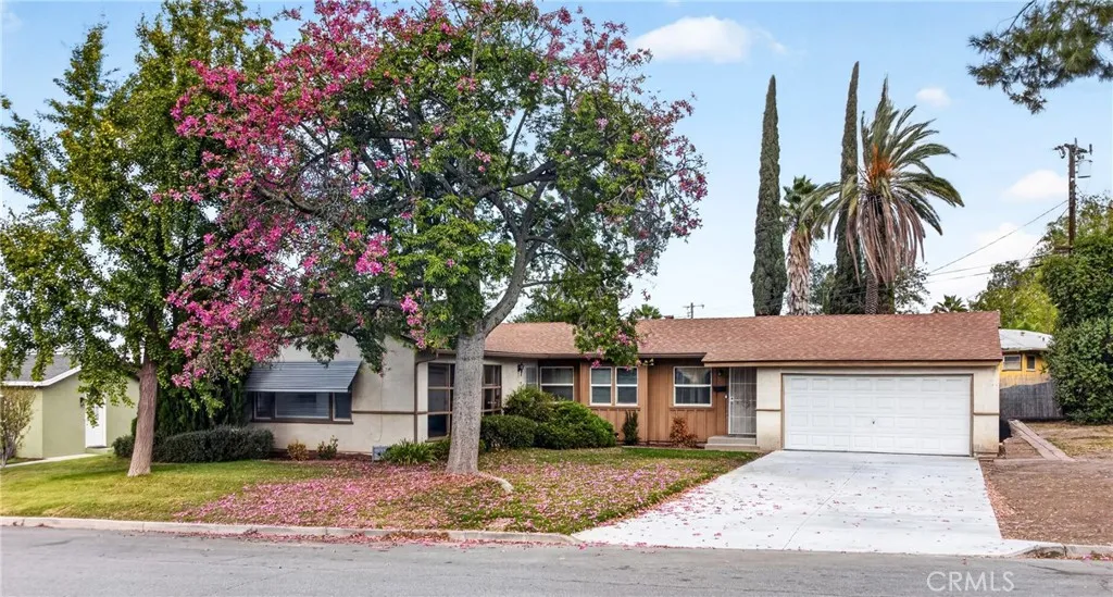 11167 Rosarita Drive — photo