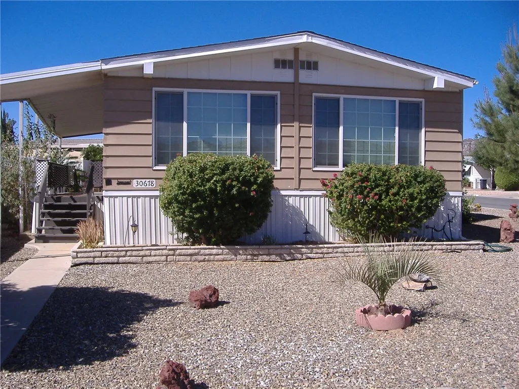 30678 Butia Palm — photo