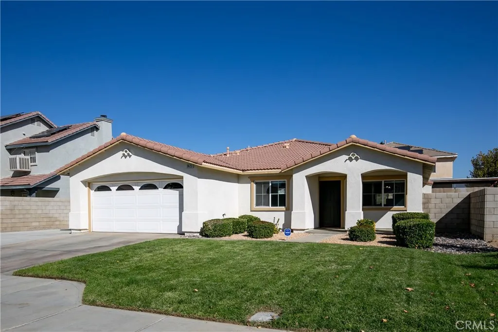 3623 Koufax — photo