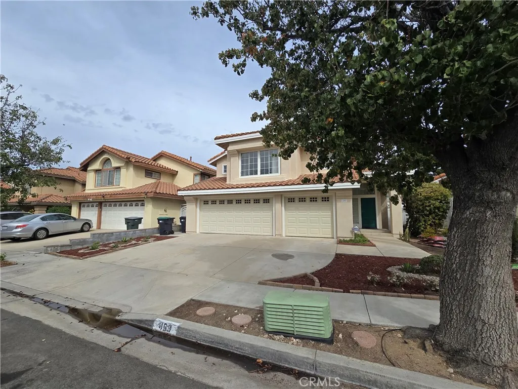 459 Dylan — photo
