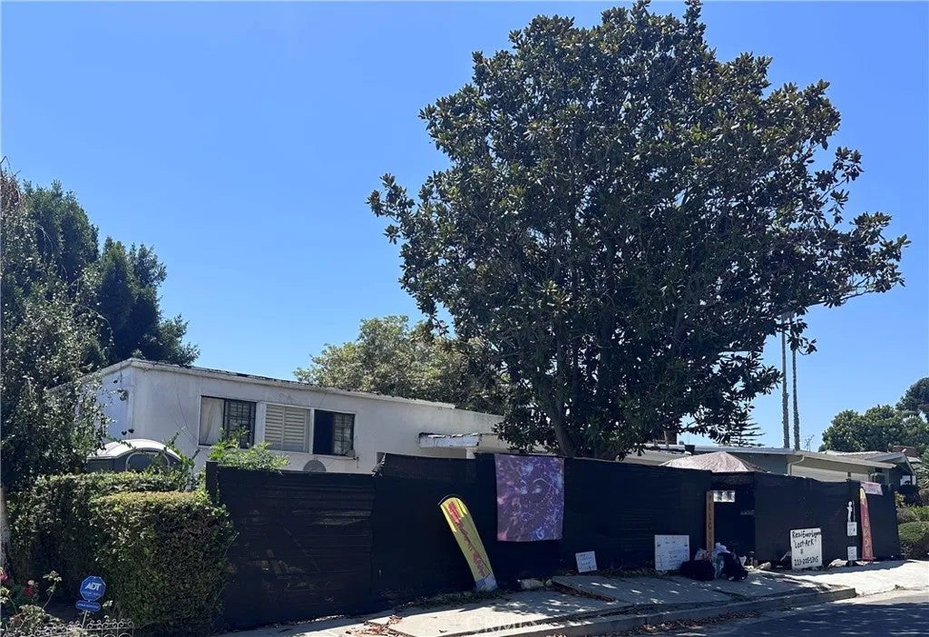 4258 Don Luis — photo