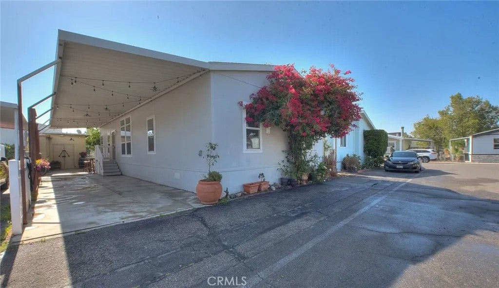 8221 Ilex 55 — photo