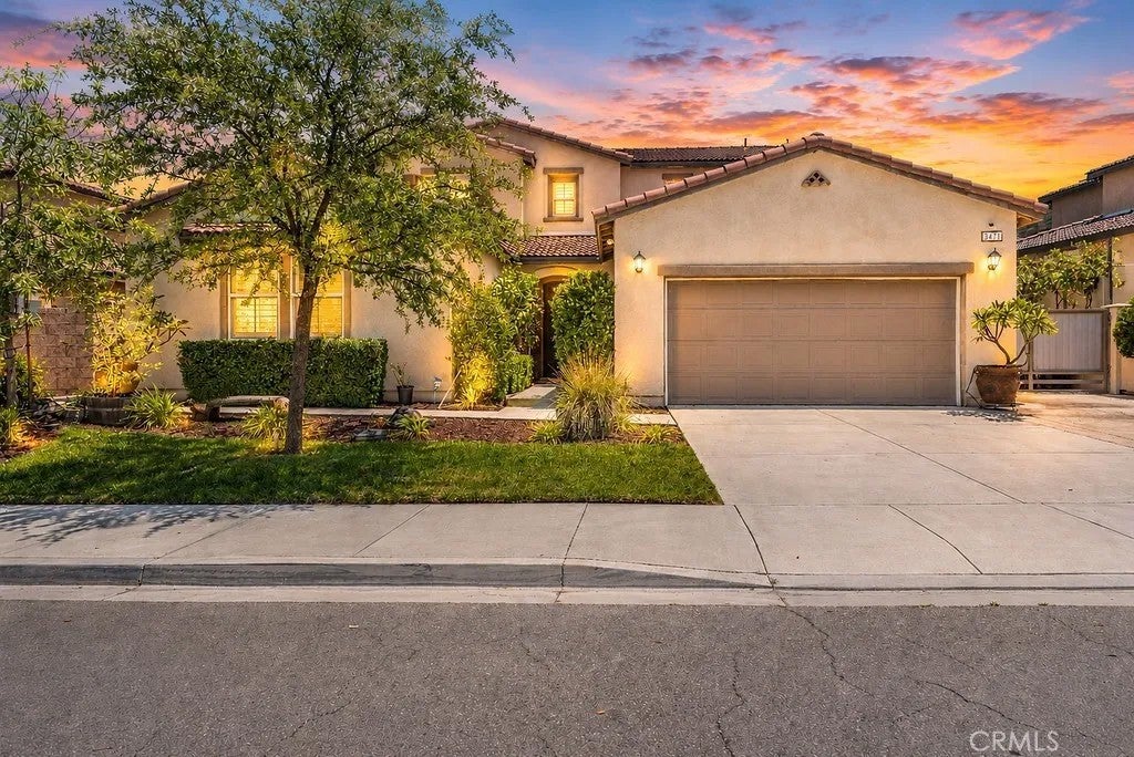 3471 Ribwort — photo