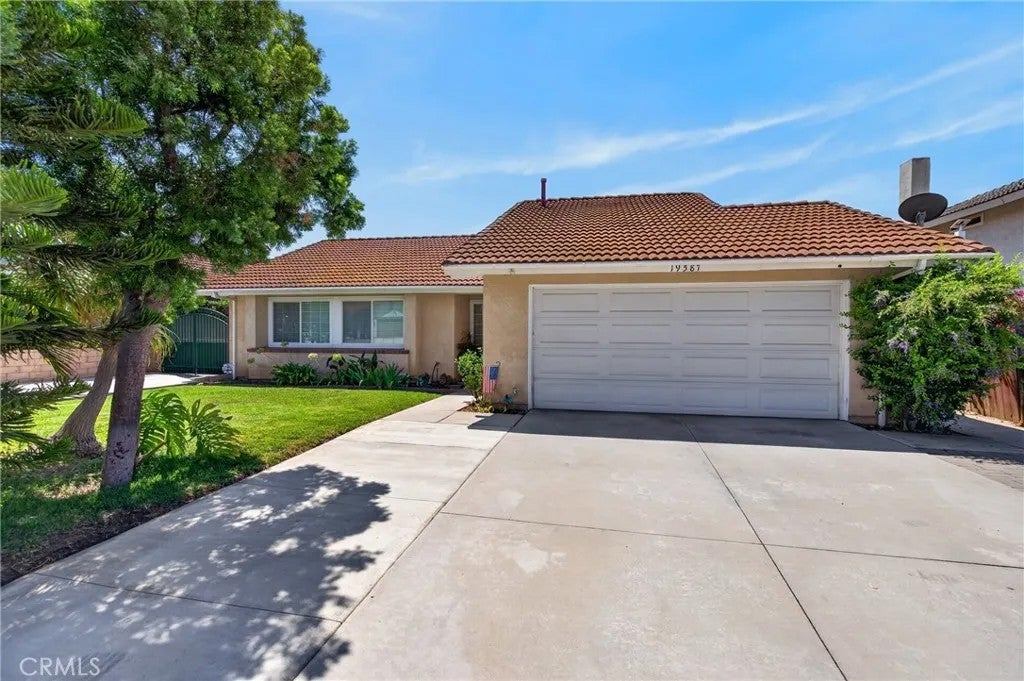 19587 Tangelo — photo