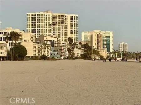 1310 E Ocean Boulevard 906 — photo