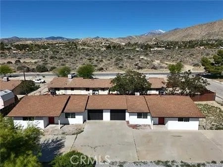 49537 Rosella B — photo