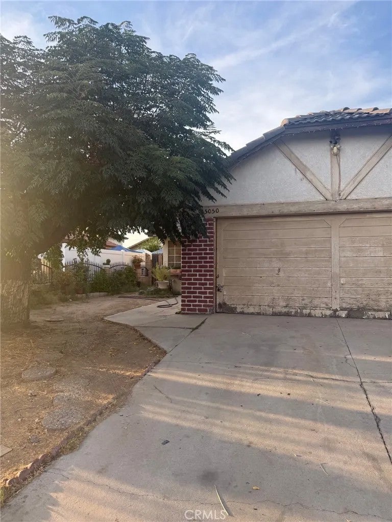 25050 Dana — photo