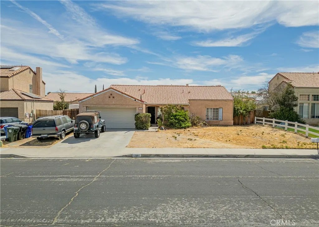 12391 Chuckwalla — photo