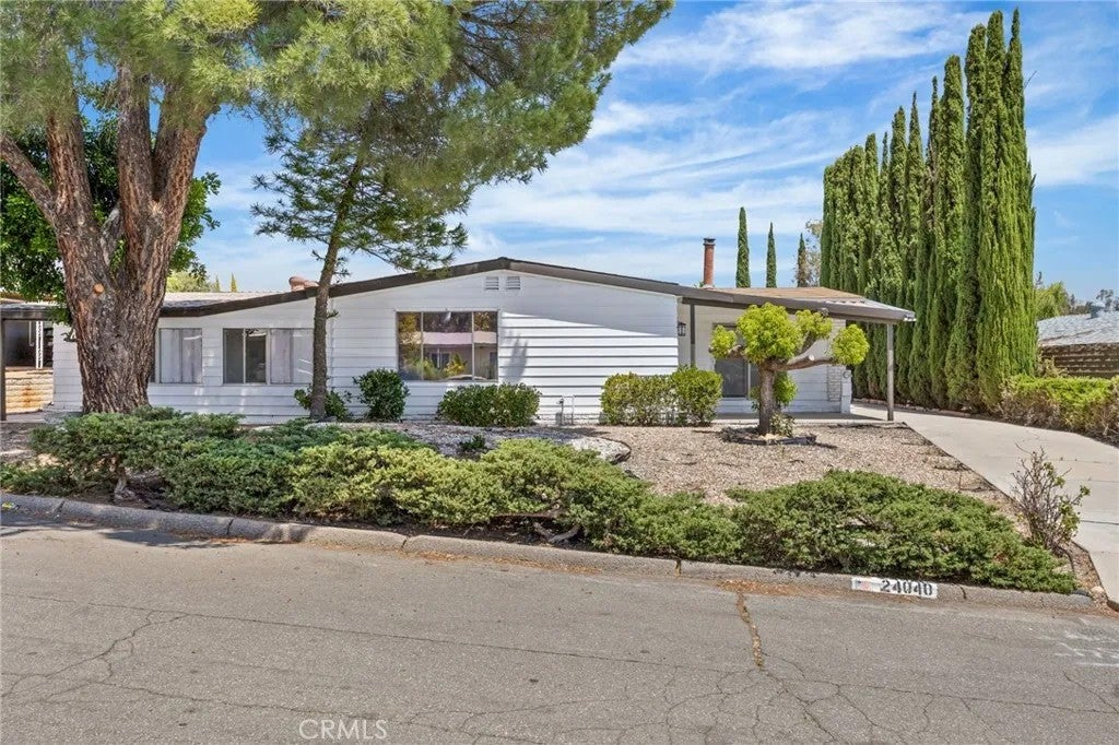 24040 Wheatfield — photo